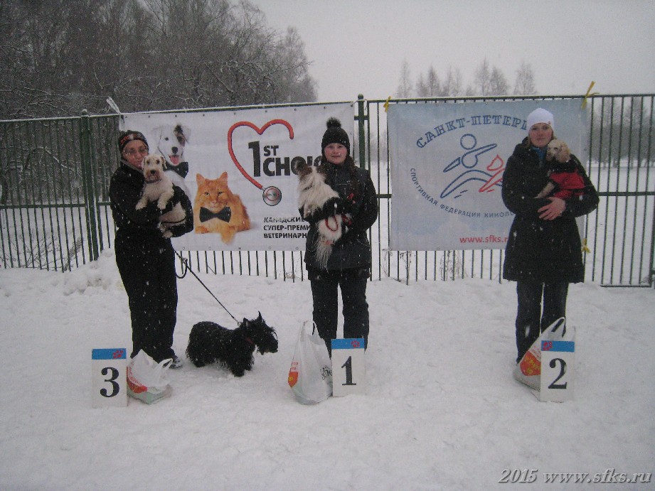 rost-toy