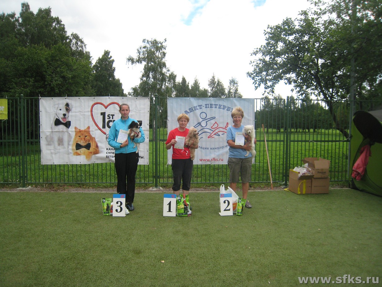 toy