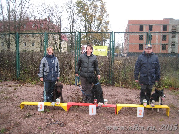 start_maxi_1
