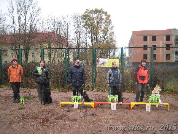 start_maxi_2