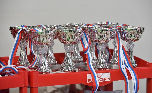 cup2