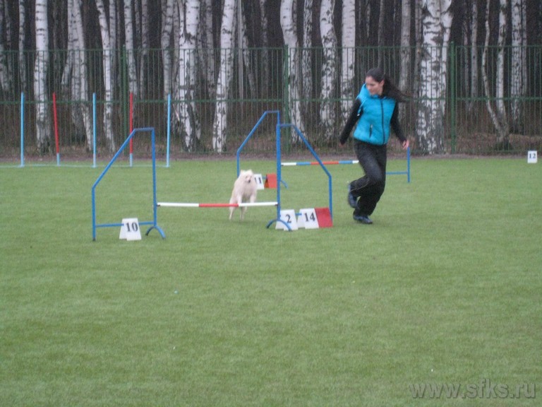 gkcc1qj8rg8
