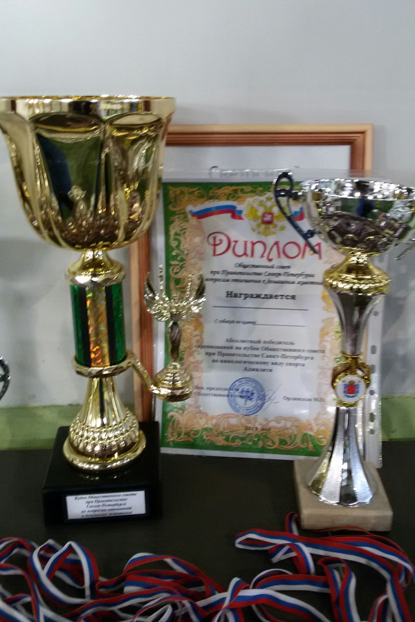 cup-2
