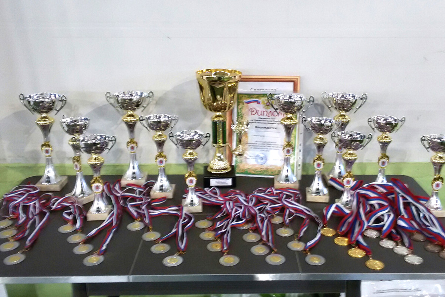 cup-5