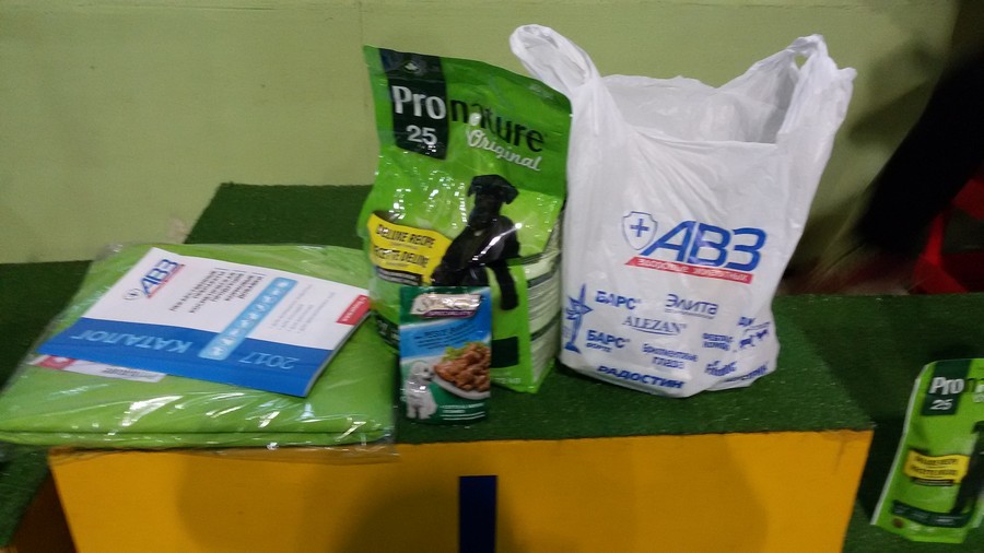sponsory