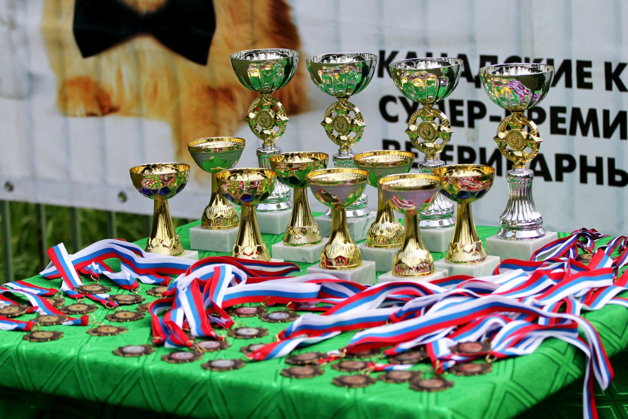 cup