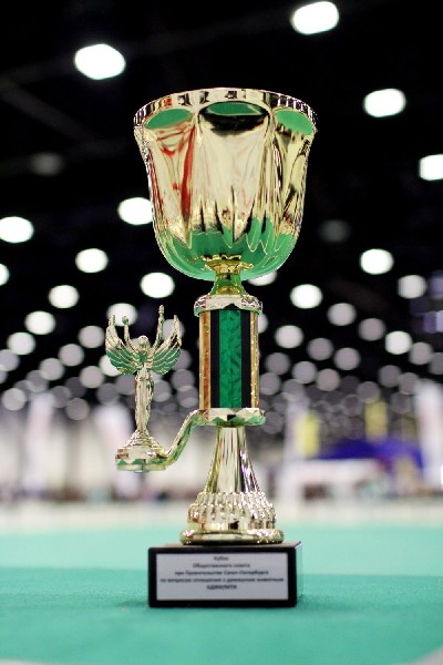 cup