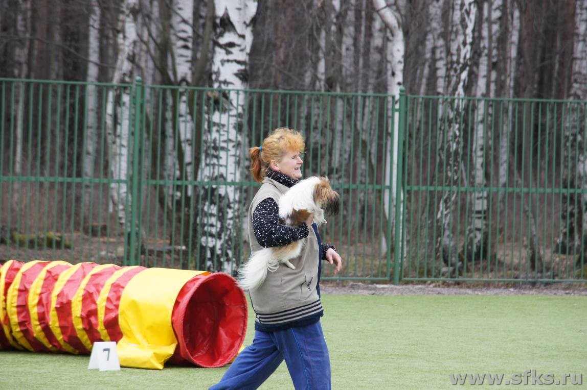 SONY DSC