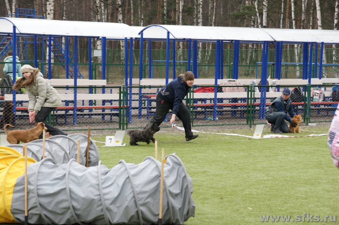 SONY DSC