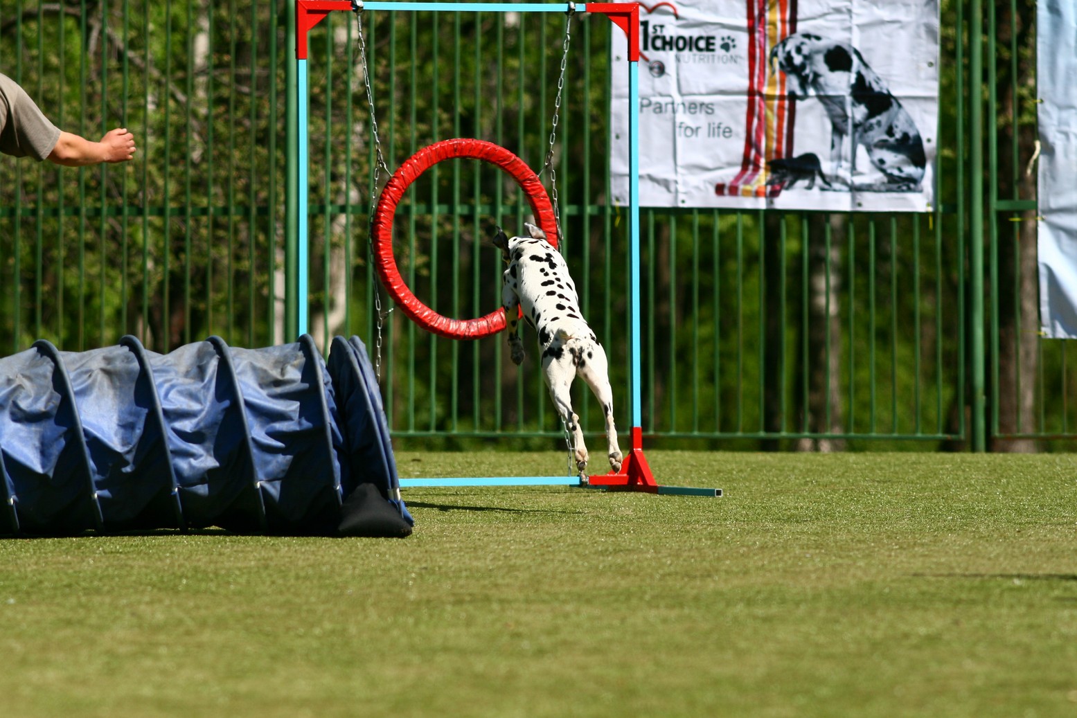 img_9643