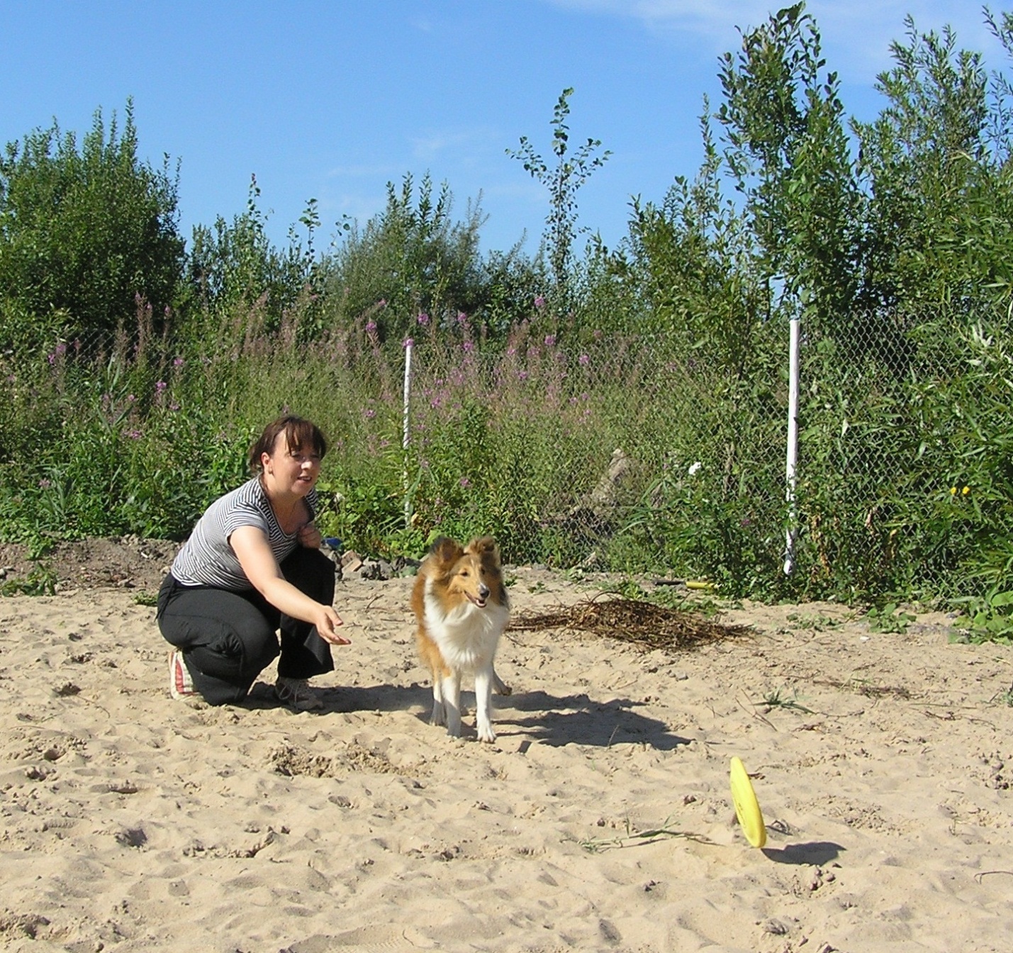 image007