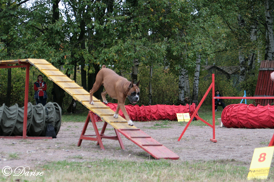 img_0057