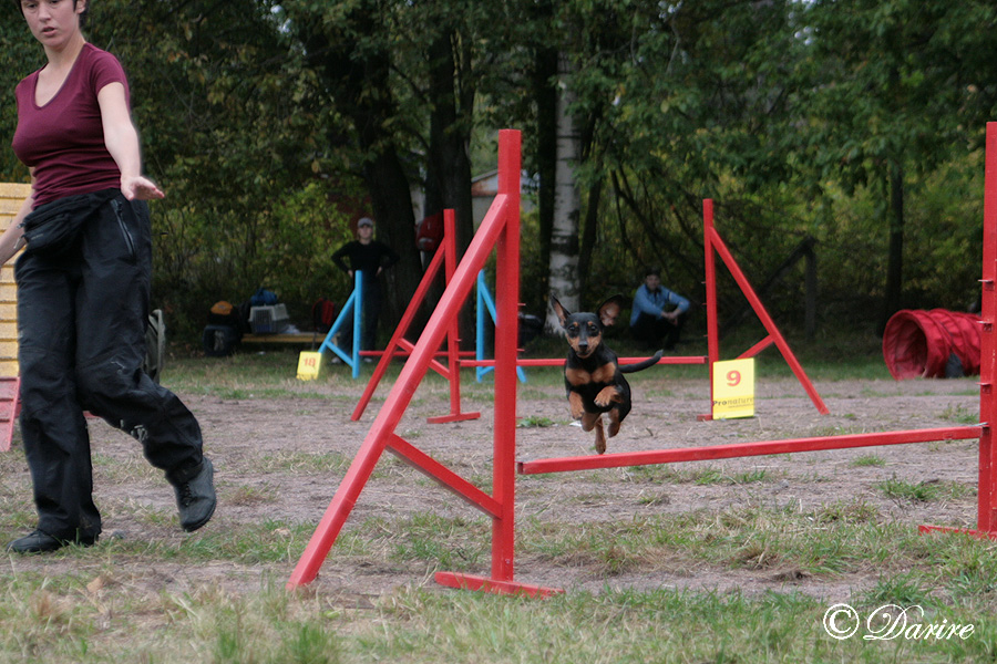 img_0415