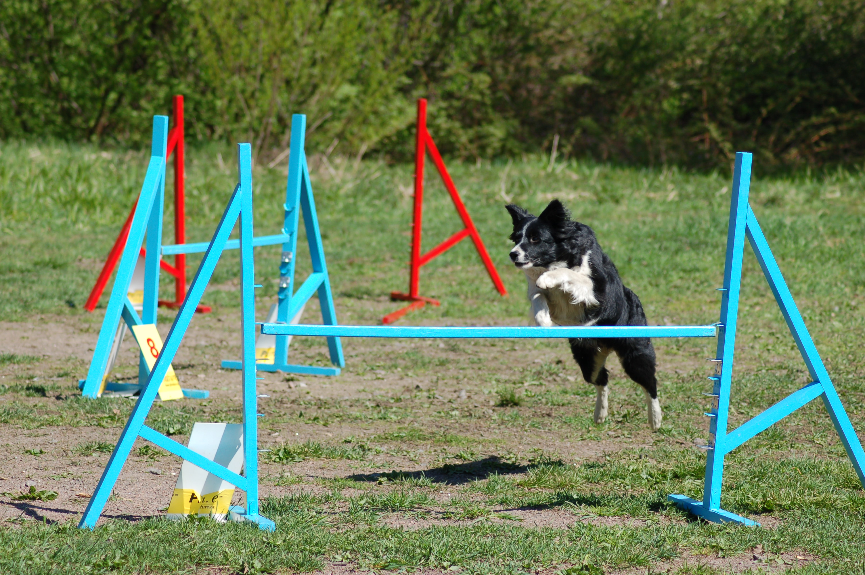 0_56c55_80282c3b_orig