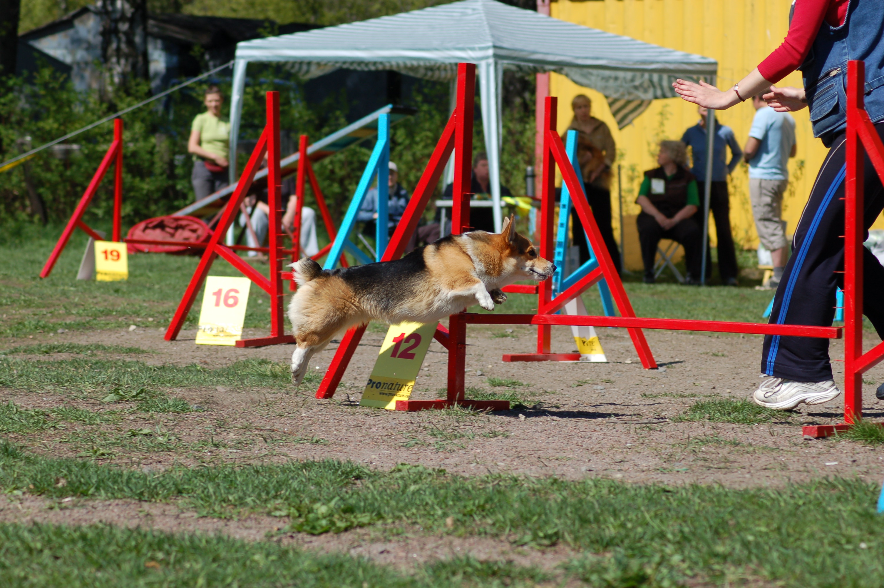 0_56c5d_b84708cf_orig