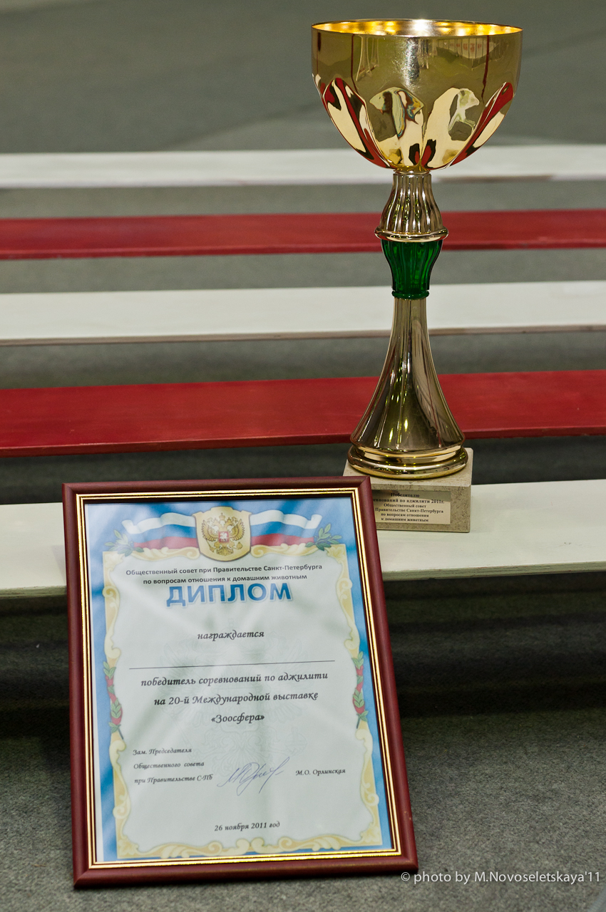 dsc_7798-edit