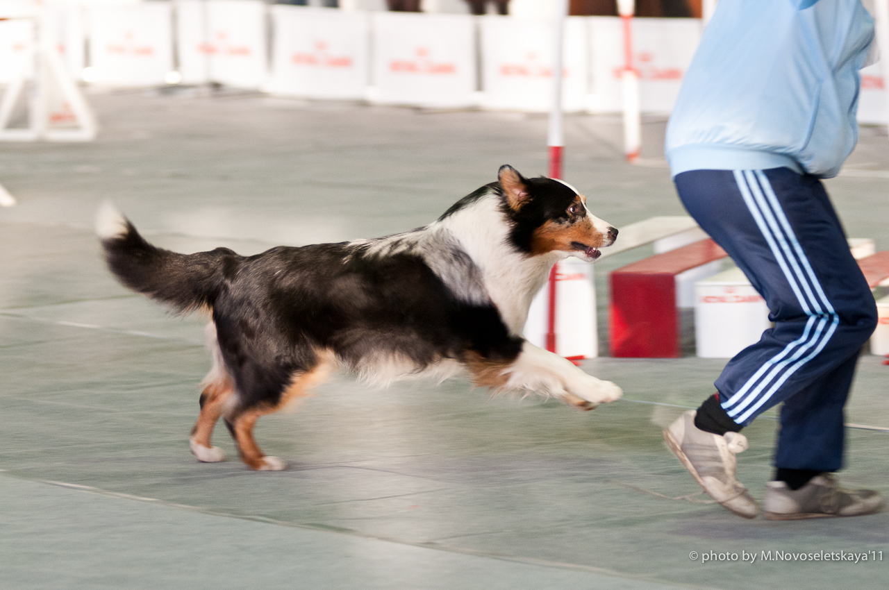 dsc_8059-edit