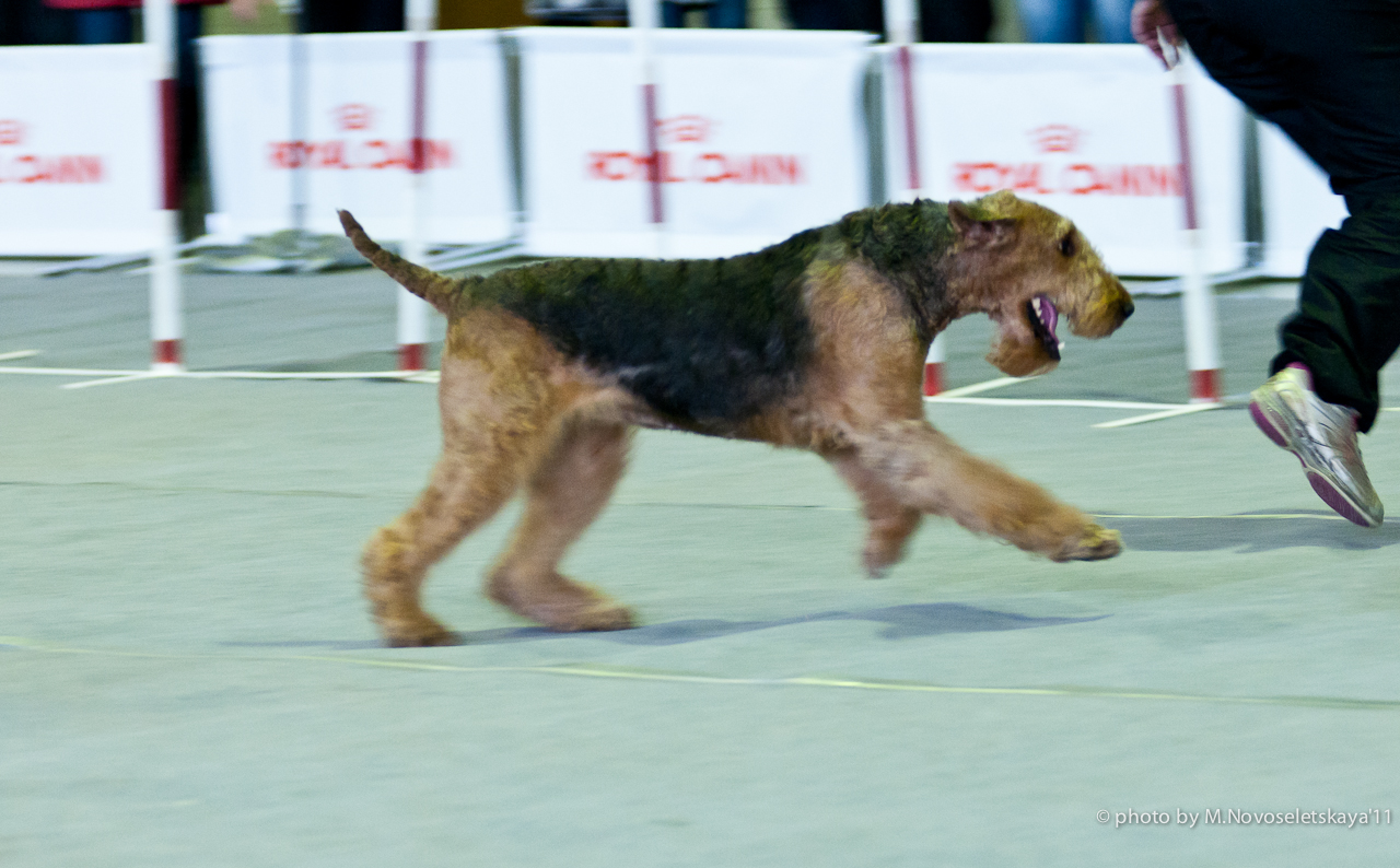 dsc_8285-edit