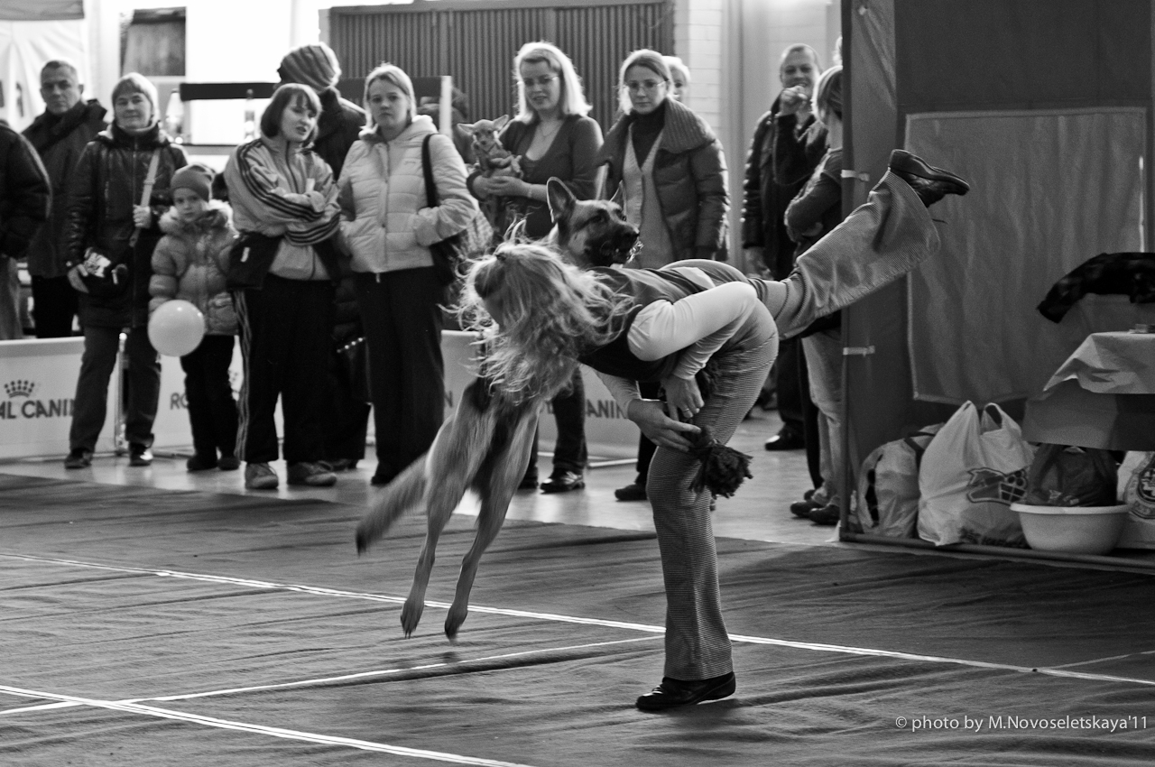 dsc_8577-edit