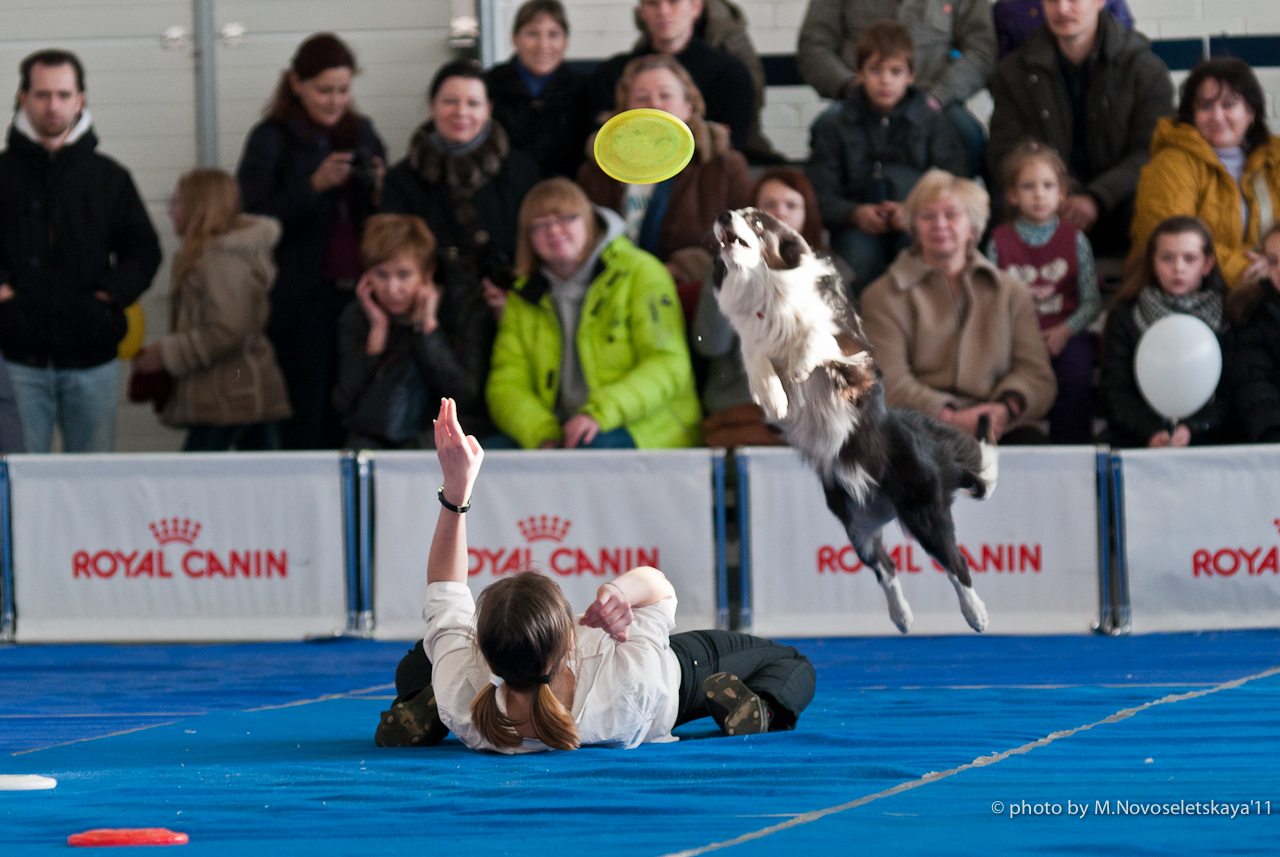 dsc_8949-edit